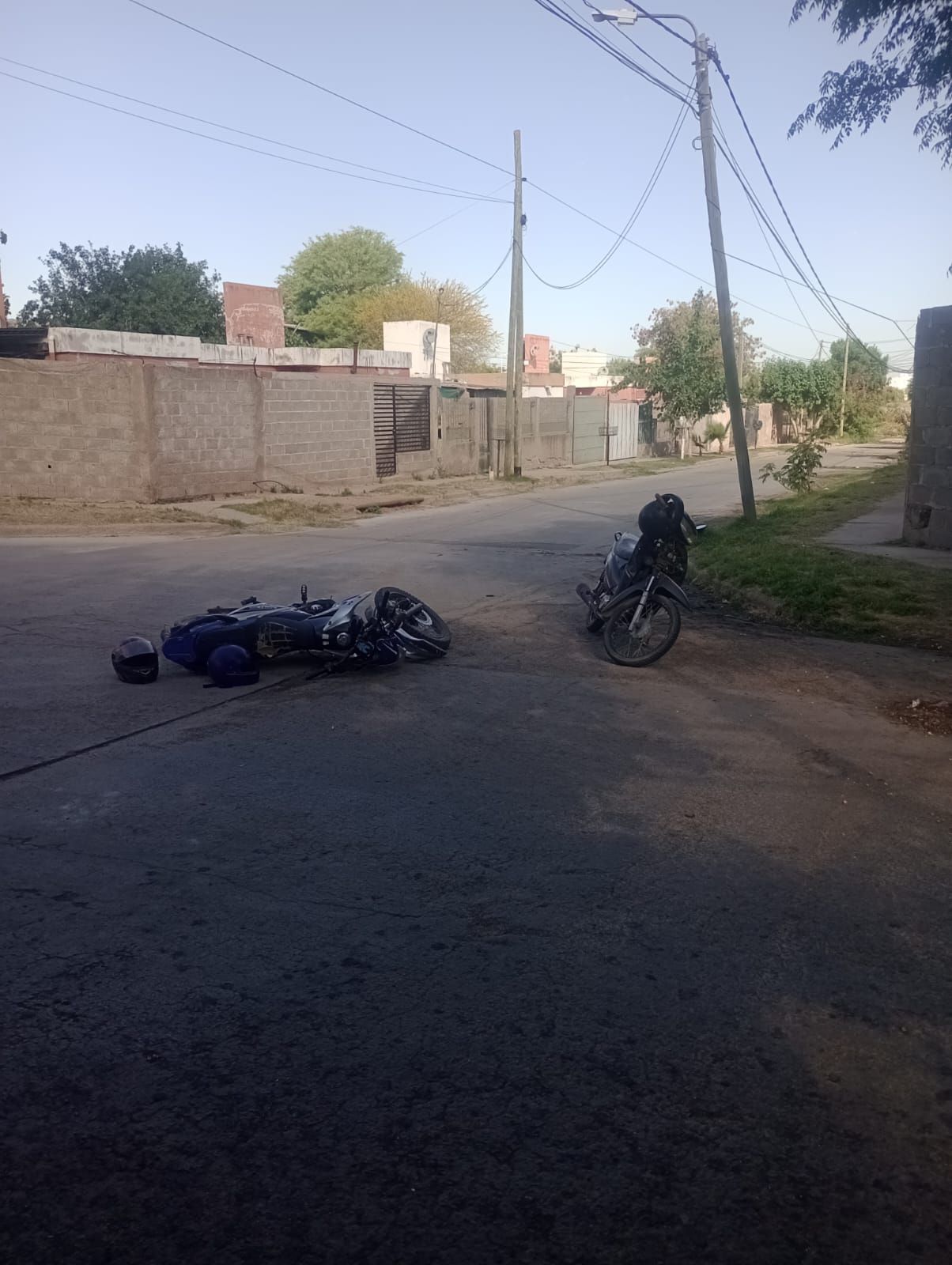 319353_1761184035.jpg