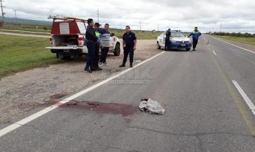Murió el joven que fue atropellado por un automovilista mientras caminaba por la Ruta 38