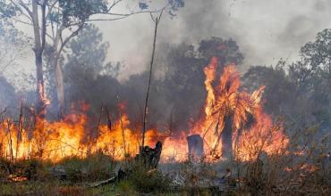 Corrientes: Un peón rural es el primer condenado por los incendios