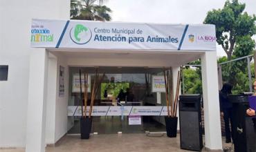 Abril Carabajal: “En lo que va de esta gestión, realizamos más de 10.000 castraciones” 