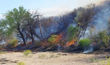Gran incendio en el departamento Ángel Vicente Peñaloza
