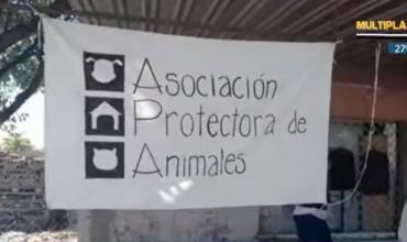 La Asociación Protectora de Animales realizó una colecta solidaria  