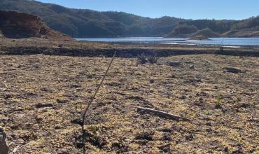 Crisis hídrica en La Rioja: Alarma por el descenso del nivel del dique de Olta