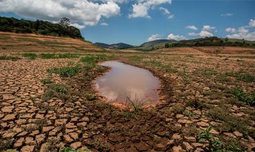 Preocupación en Brasil: Al menos el 20% del territorio sufre sequía severa o extrema 