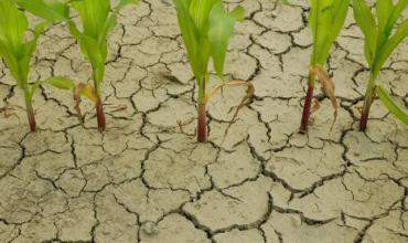 La Niña está por llegar a la Argentina: se esperan fuertes sequías y un clima fuera de lo normal