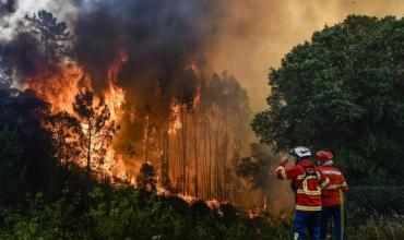 Los incendios forestales castigan a otros cuatro países de América Latina, además de la Argentina