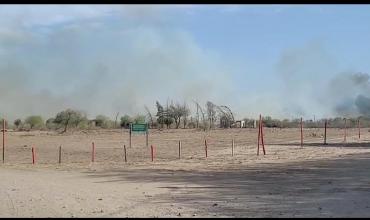 Incendio frente al Parque de la Ciudad