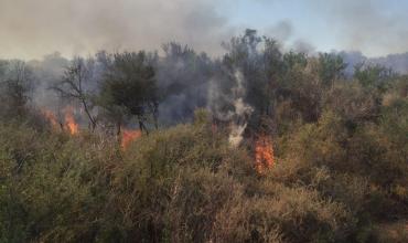 Reportan incendio forestal de magnitud media en Pagancillo