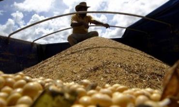 Las exportaciones de las economías regionales siguen creciendo: superávit comercial de US$7.863 millones
