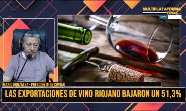 Durante el 2023 la producción de vino riojano cayó 51,3%