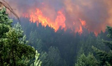 El incendio en Bariloche está fuera de control y ya se consumieron más de 4.400 hectáreas de bosque