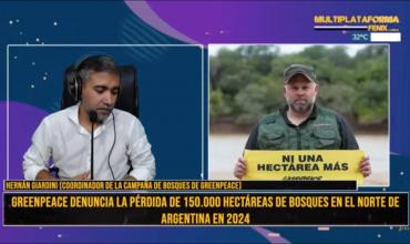 Hernán Giardini: “Desde inicios de año ya se han quemado 25 mil hectáreas en la Patagonia”