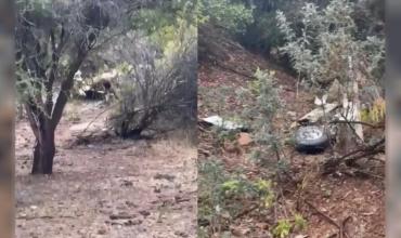 Tragedia aérea en Chile: se accidentó una avioneta ambulancia y la hallaron sin sobrevivientes