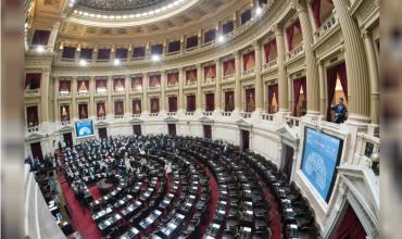 Con holgada mayoría, la oposición logró aprobar la ley de emergencia en Discapacidad en Diputados