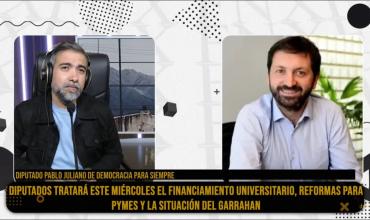 Pablo Juliano: “La motosierra debe pasar por otro lado, no por el Garraham ni las universidades”