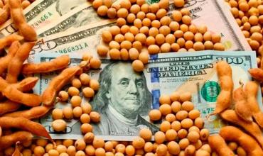 Golpe al campo: cayó el precio de la soja y se desaceleró el comercio de granos