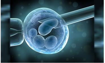 Una nueva inteligencia artificial predice la calidad de los óvulos y es más precisa que los médicos