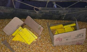 Incautan 44 kilos de cocaína ocultos en un camión con carga de maíz en Santiago del Estero
