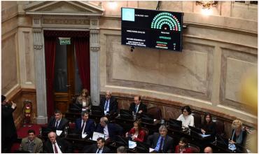 Senado: la oposición dejó sin efecto el veto de Milei y reactivó la ley de emergencia en discapacidad