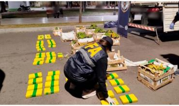 Narcofruta: secuestraron 85 kilos de cocaína en un camión que transportaba bananas