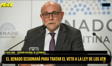 Flavio Fama en Fénix: “El proyecto de ATN es un reclamo firmado por todas las provincias y debe convalidarse en el recinto”