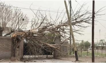 Temporal en Mendoza: un muerto, vuelos suspendidos y graves daños por el viento