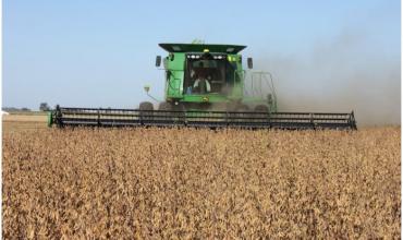 La breve pausa del Gobierno a las retenciones al campo desató una ola de exportaciones