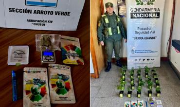 Chubut: transportaban lagartos, marihuana y más de 66 millones de pesos en un ómnibus