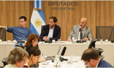 $Libra: la justicia ratificó que funcionarios del Gobierno no pueden ser llevados al Congreso por la fuerza pública