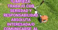 servicios y empleos